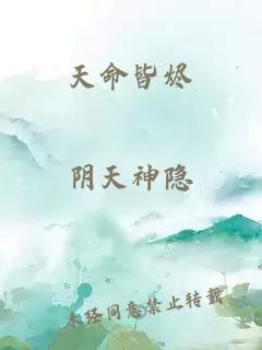 天命皆烬